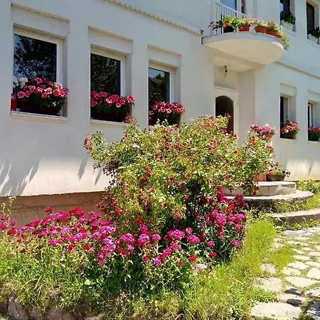 Guest house Lalic 3*