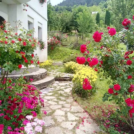 Lalic Guest house
